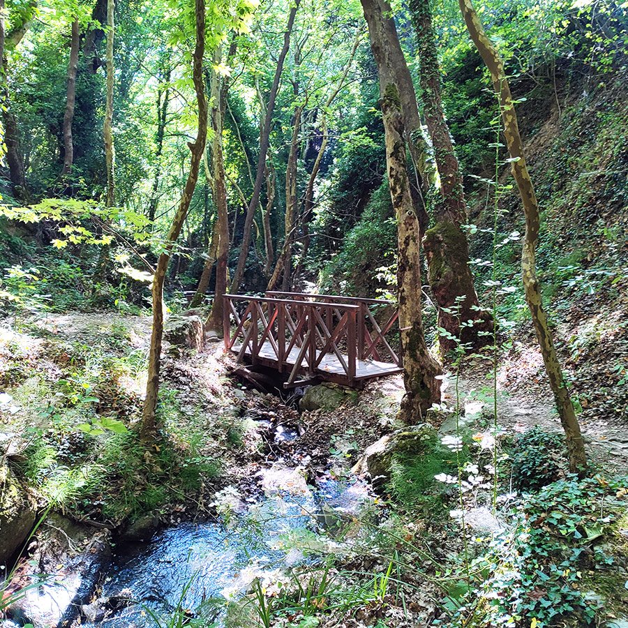 ⛰️ 켄타우로스의 길(모노파티 톤 켄타브론)